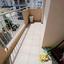 1 bedroom apartment for rent aglantzia nicosia 1668703 thumbnail 16562634