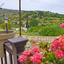 3 Bedroom Detached house for sale in Kritou Tera, Paphos thumbnail 14321298
