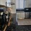 4 bedroom detached house for sale kiti larnaca 8736703 thumbnail 16349992