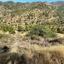 land for sale gourri nicosia 945703 thumbnail 9337485