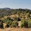 land for sale pitargou paphos 1174703 thumbnail 15600796