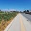 land for sale zakaki limassol 8001703 thumbnail 12735654