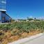 land for sale zakaki limassol 8001703 thumbnail 12735655