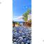 4 bedroom detached house for sale pomos paphos 8791803 thumbnail 16684781