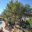 4 bedroom detached house for sale tala paphos 626803 thumbnail 317040