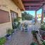 7 bedroom semi detached house for sale aradippou larnaca 8157803 thumbnail 16134269