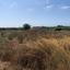 land for sale geroskipou paphos 1354803 thumbnail 5608299