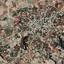 land for sale polemi paphos 8716803 thumbnail 16306698