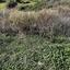 land for sale agios tychonas limassol 8085903 thumbnail 17566304