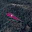 land for sale kampos nicosia 8628903 thumbnail 15864259