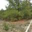 plot for sale moniatis limassol 828903 thumbnail 11081739