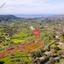 9365 SQM Land for sale in Lysos, Paphos thumbnail 15600118