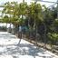 3 bedroom detached house for sale maroni larnaca 1029013 thumbnail 5426587