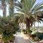 6 bedroom detached house for sale erimi limassol 8543013 thumbnail 17147053