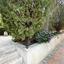 6 bedroom detached house for sale erimi limassol 8543013 thumbnail 17147072