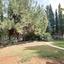 6 bedroom detached house for sale erimi limassol 8543013 thumbnail 17147074