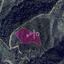 land for sale lythrodontas nicosia 8275113 thumbnail 15740597
