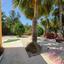 3 bedroom detached house for sale tala paphos 8659213 thumbnail 17576684