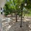 3 bedroom detached house for sale tala paphos 8659213 thumbnail 17576686