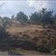 land for sale pano pyrgos nicosia 8645213 thumbnail 15931534
