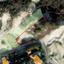 land for sale agios tychonas limassol 8676313 thumbnail 17413968