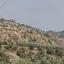 land for sale kampia nicosia 1336313 thumbnail 7339754