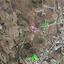land for sale mathiatis nicosia 8434313 thumbnail 15008329