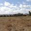 land for sale poli chrysochous paphos 8395313 thumbnail 14818338