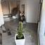 3 bedroom detached house for sale pano deftera nicosia 8291413 thumbnail 14045669