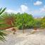 3 bedroom detached house off market tala paphos 8395413 thumbnail 16044382