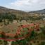 4348 SQM Land for sale in Mitsero, Nicosia thumbnail 16722577