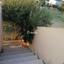 4 bedroom detached house for sale pano deftera nicosia 1728513 thumbnail 5519756