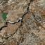 land for sale klirou nicosia 8960513 thumbnail 17790285