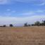 land for sale latsi paphos 7739513 thumbnail 13018101
