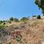 plot for sale peyia paphos 8969513 thumbnail 17870236
