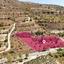 land for sale praitori paphos 1897613 thumbnail 14206843