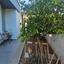 5 bedroom detached house for sale konia paphos 7573713 thumbnail 13571161