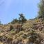 31327 SQM Land for sale in Agios Theodoros Soleas, Nicosia thumbnail 15600616