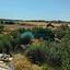 4 bedroom detached house for sale arediou nicosia 8971913 thumbnail 17873250