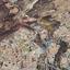 land for sale agia fyla limassol 1596913 thumbnail 9810188