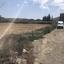 land for sale dali nicosia 1777913 thumbnail 5743014