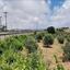 land for sale kato arodes paphos 1352913 thumbnail 2540411