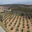 land for sale kato arodes paphos 1352913 thumbnail 2540413