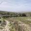 land for sale stroumbi paphos 1517913 thumbnail 15598540