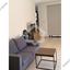 2 bedroom apartment for rent aglantzia nicosia 8500023 thumbnail 16582376