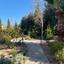 2 bedroom detached house for sale kato paphos paphos 8442023 thumbnail 15032272