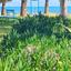 2 bedroom semi detached house for rent meneou larnaca 8711023 thumbnail 16274235