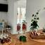 2 bedroom semi detached house for rent meneou larnaca 8711023 thumbnail 16274236
