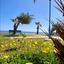 2 bedroom semi detached house for rent meneou larnaca 8711023 thumbnail 16274264