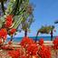 2 bedroom semi detached house for rent meneou larnaca 8711023 thumbnail 16274276